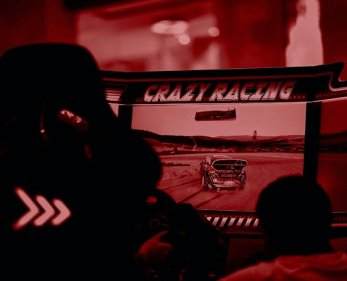 racing simulator setup